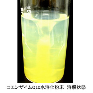 コエンザイムQ10水溶化粉末　溶解状態
